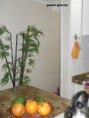 /album/apartamento-no-centro-de-capao-na-av-paraguassu-semi-mobiliado-com-moveis-em-mdf-%28quarto%2c-cozinha-e-banheiro%29%2c-ventiladores-de-teto%2c-cozinha-americana-com-tampo-de-marmore-e-fog%c3%a3o-2-bocas-embutido-sem-box-r%2498-000-/carme-006-jpg/